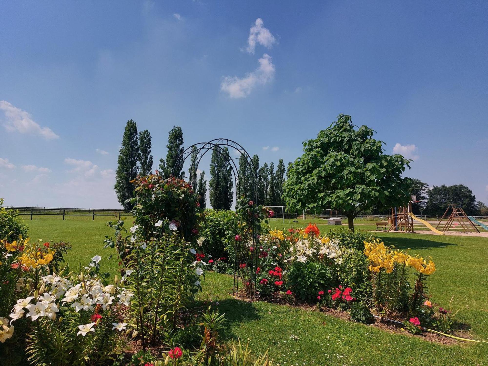 Domaine De Soignolles Hotel Ngoại thất bức ảnh